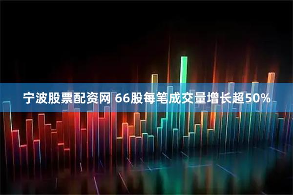 宁波股票配资网 66股每笔成交量增长超50%