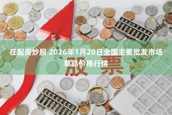 在配资炒股 2026年1月20日全国主要批发市场草菇价格行情